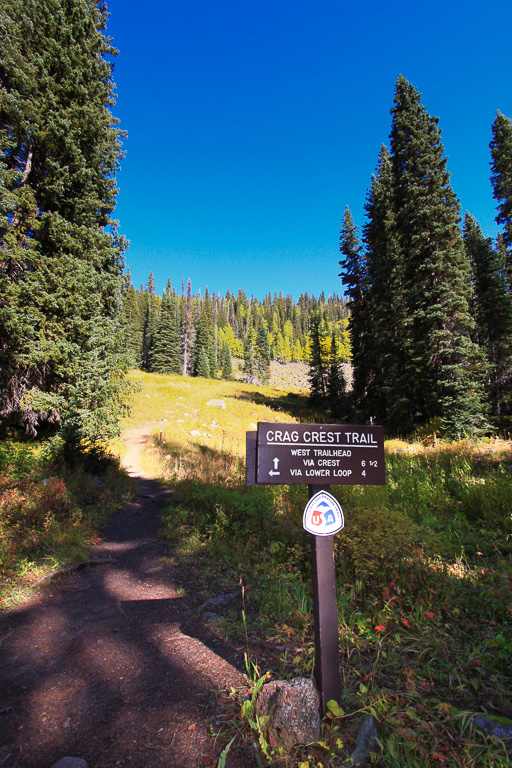 Trail via Crest - Crag Crest