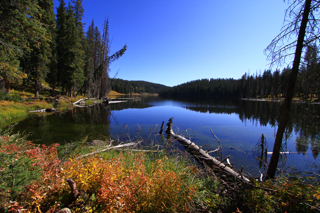 Upper Eggleston Lake - Crag Crest