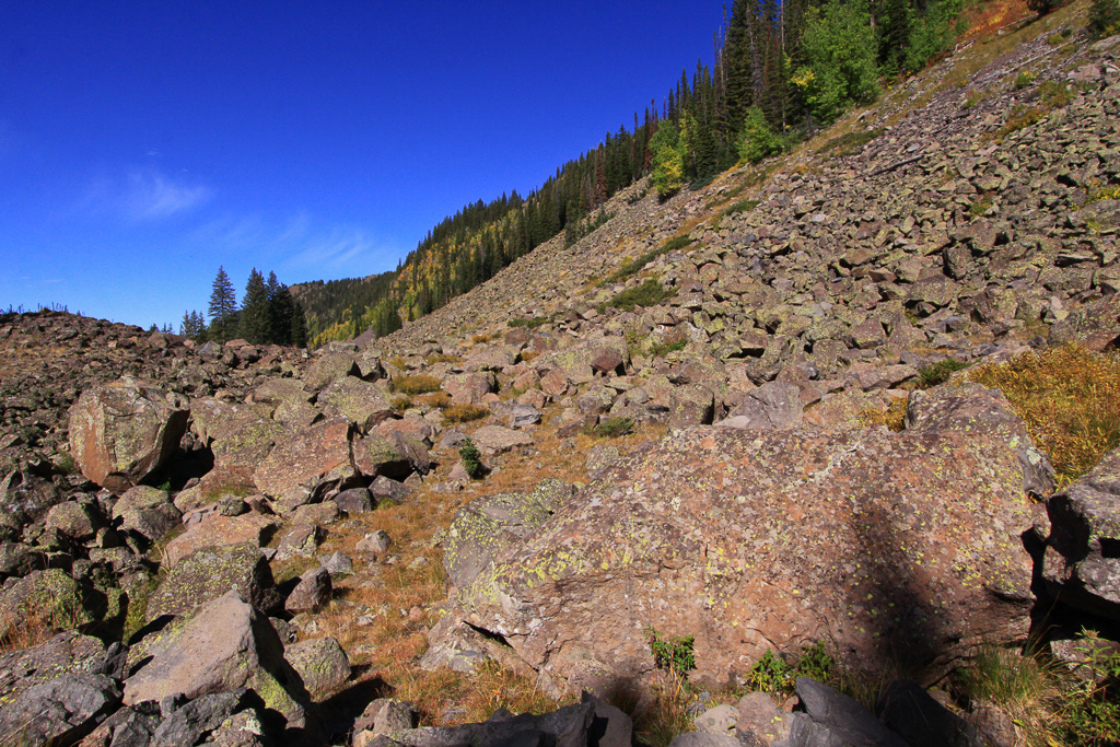 Boulder Field - Crag Crest