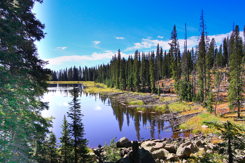 Upper Eggleston Lake - Crag Crest