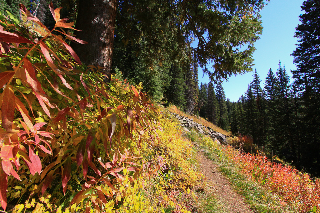 Colorful foliage - Crag Crest