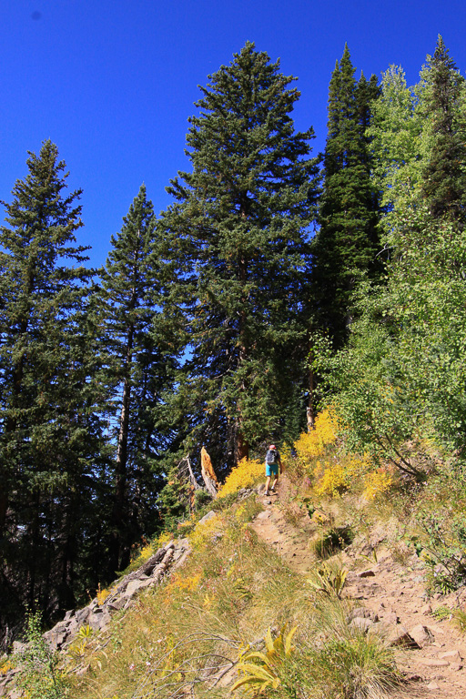 Pick climbing the ridge - Crag Crest