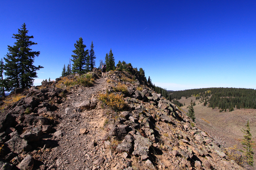 The start of the Crest portion - Crag Crest Trail