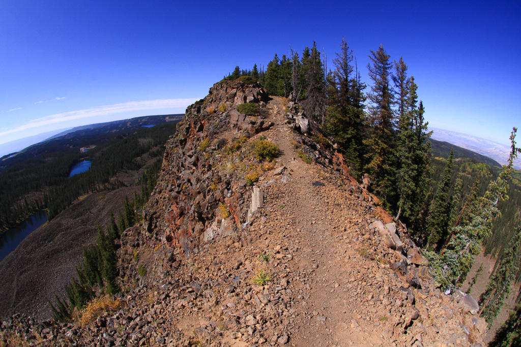 Nearing the highpoint of the crest - Crag Crest Trail