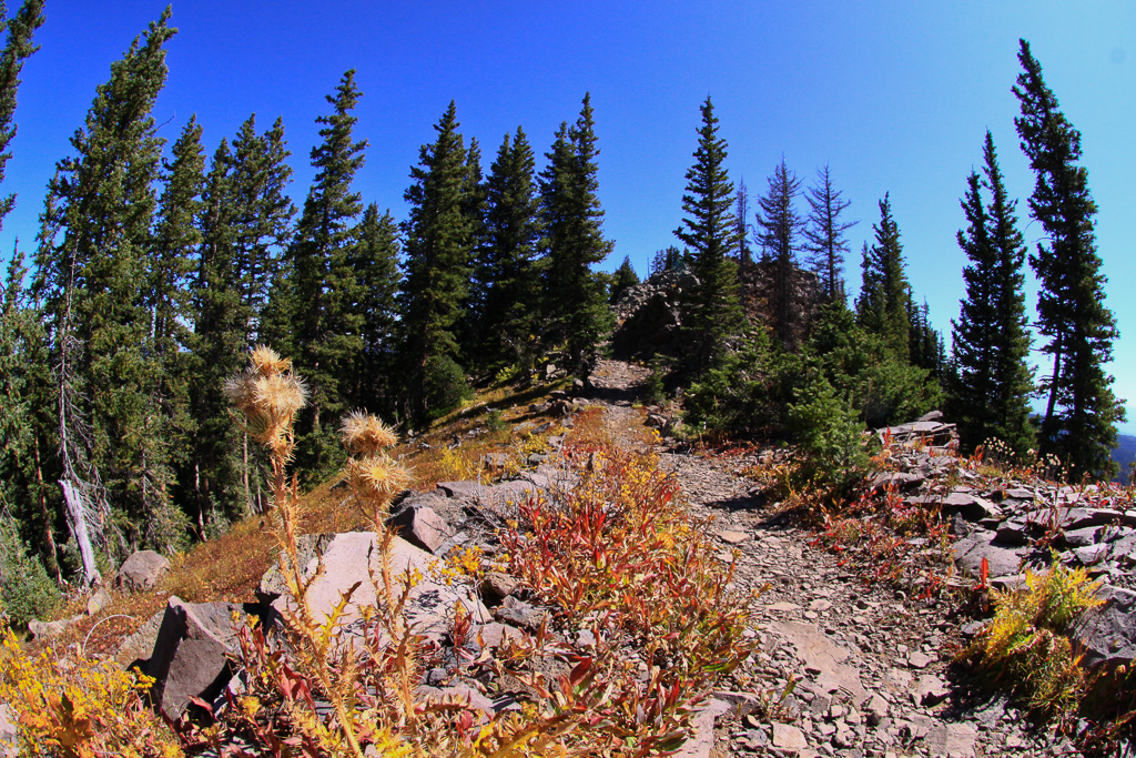 Fish-eye perspective on top of the crest - Crag Crest Trail