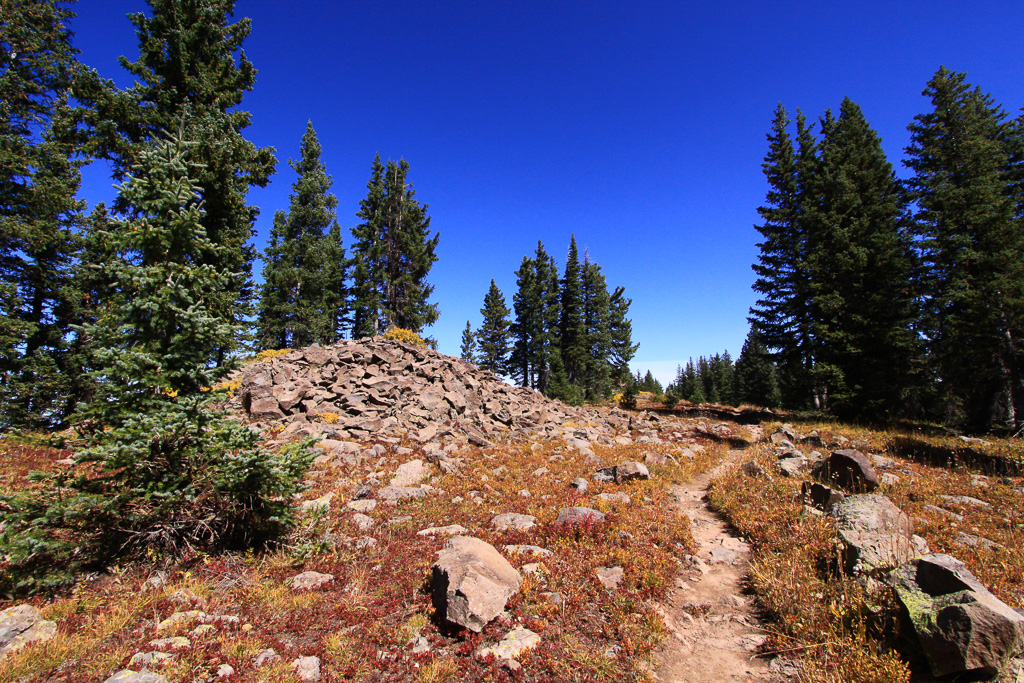 Flat portion of trail along the crest - Crag Crest Trail