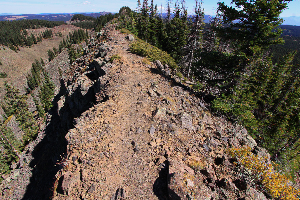 Narrow, rocky knife-edge trail - Crag Crest Trail