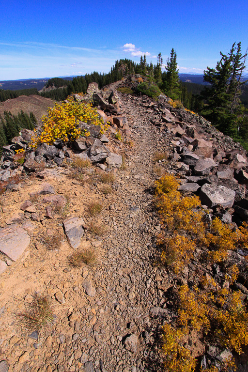 Yellow fall foliage along the crest - Crag Crest Trail
