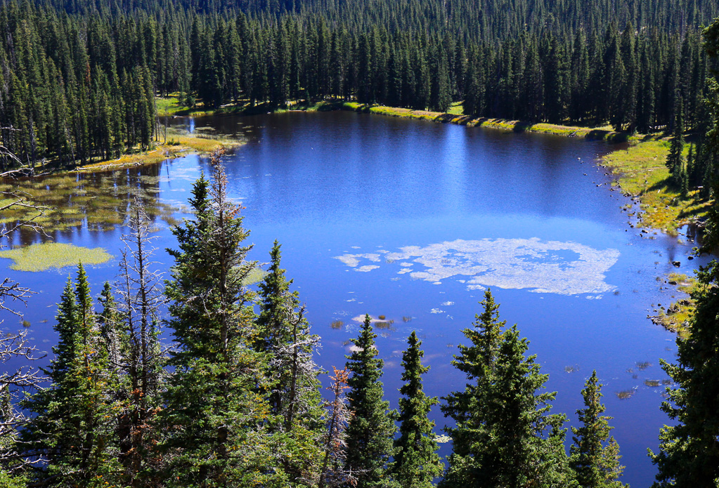 Bullfinch Reservoir #1 - Crag Crest Trail