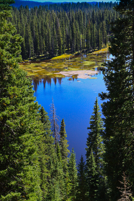 Bullfinch Reservoir #1 through the evergreens - Crag Crest Trail