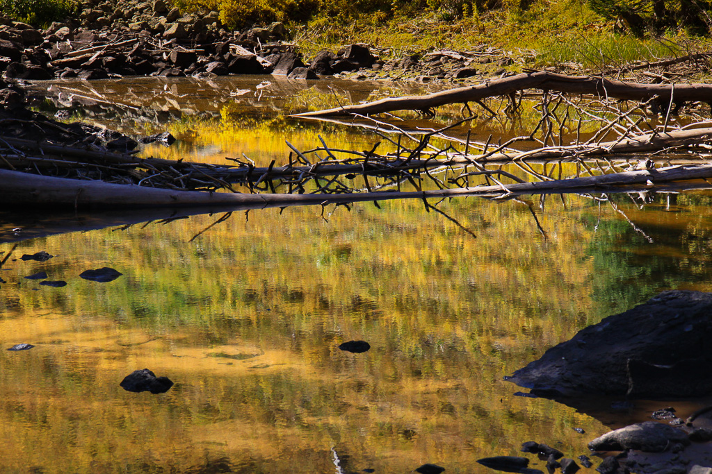 Reflections in a trailside pond - Crag Crest Trail