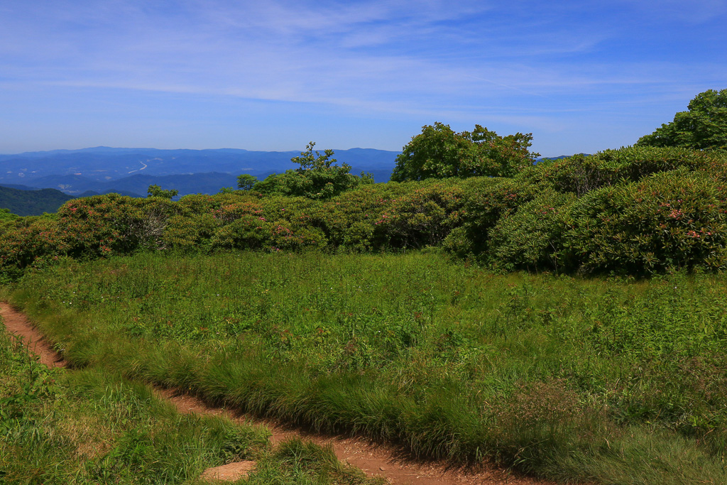 Craggy Flats - Craggy Gardens