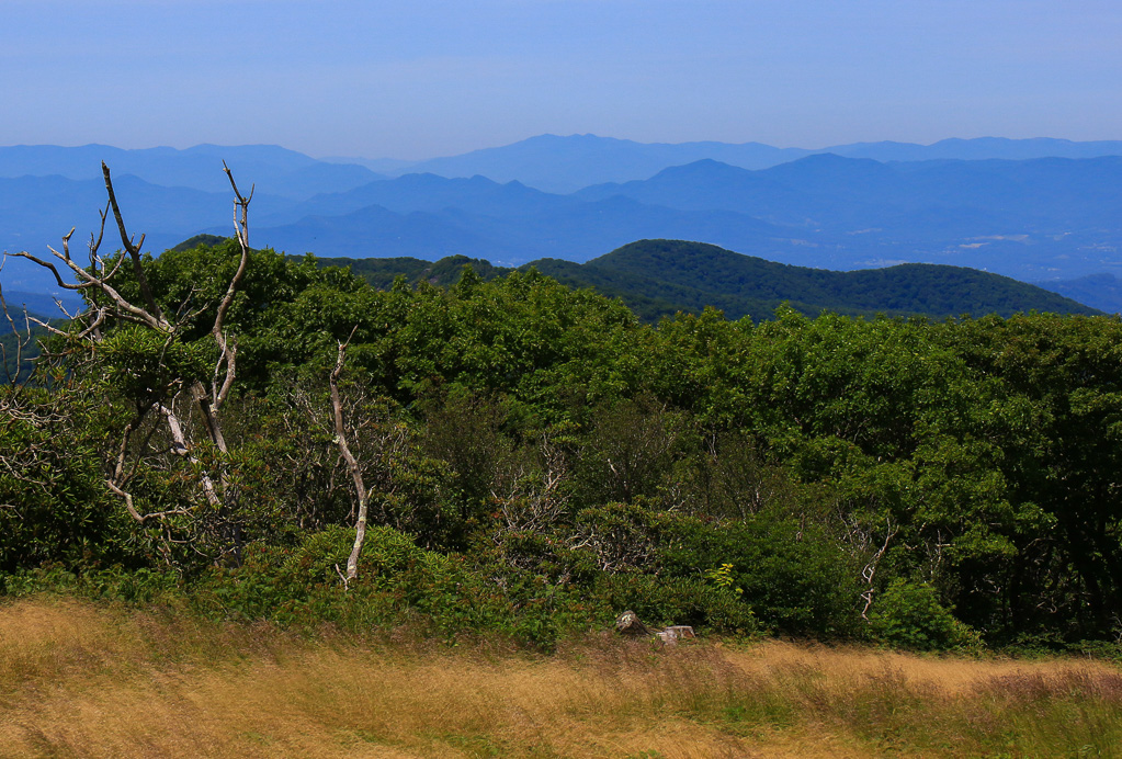 View from Craggy Flats - Craggy Gardens