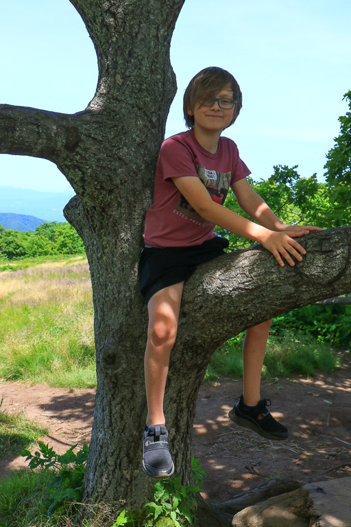 Cam in his tree - Craggy Gardens