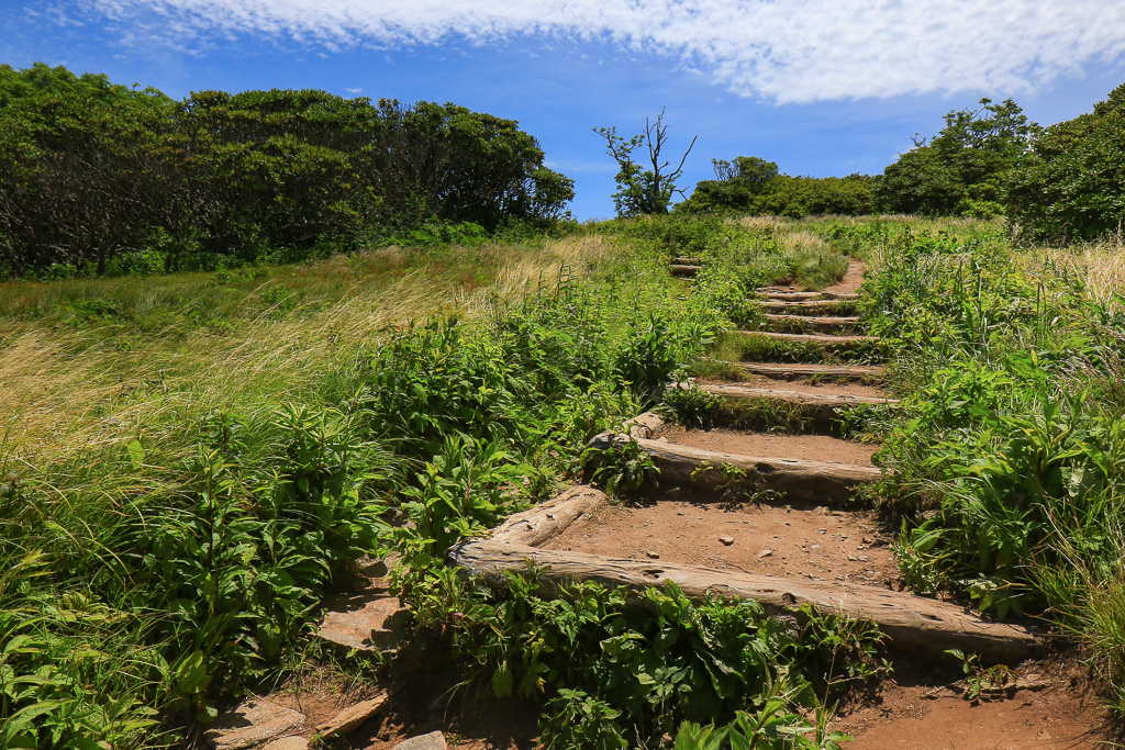 Hiking along Craggy Flats - Craggy Gardens