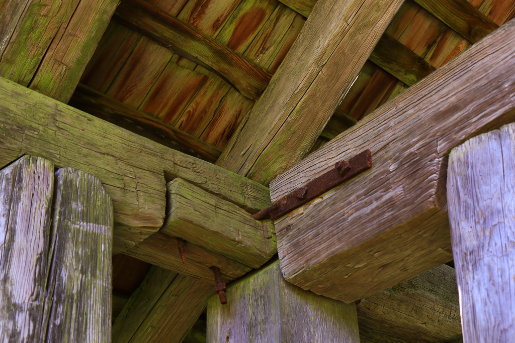 Historically significant chestnut logs of the shelter - Craggy Gardens