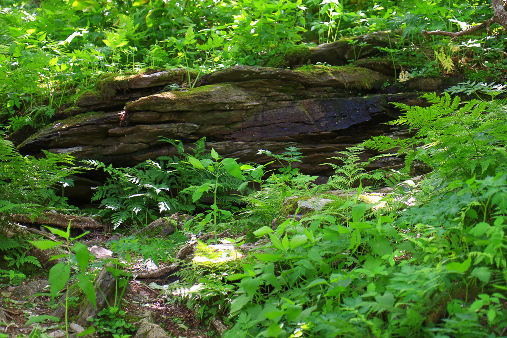 Rock outcrop - Craggy Gardens