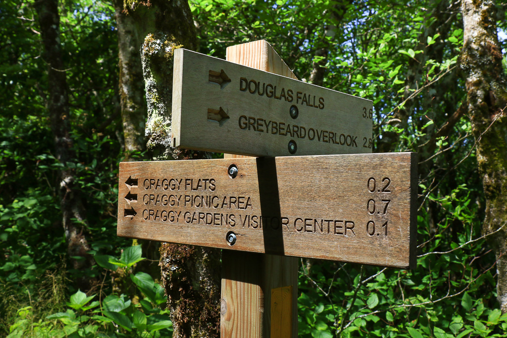 Trail intersection - Craggy Gardens