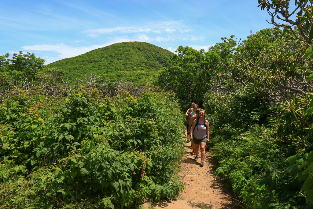 Heading to the summit - Craggy Pinnacle