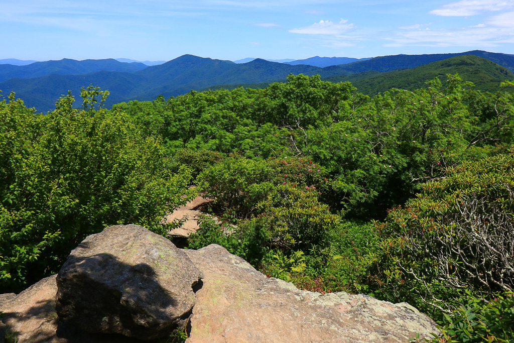 View from the trail - Craggy Pinnacle