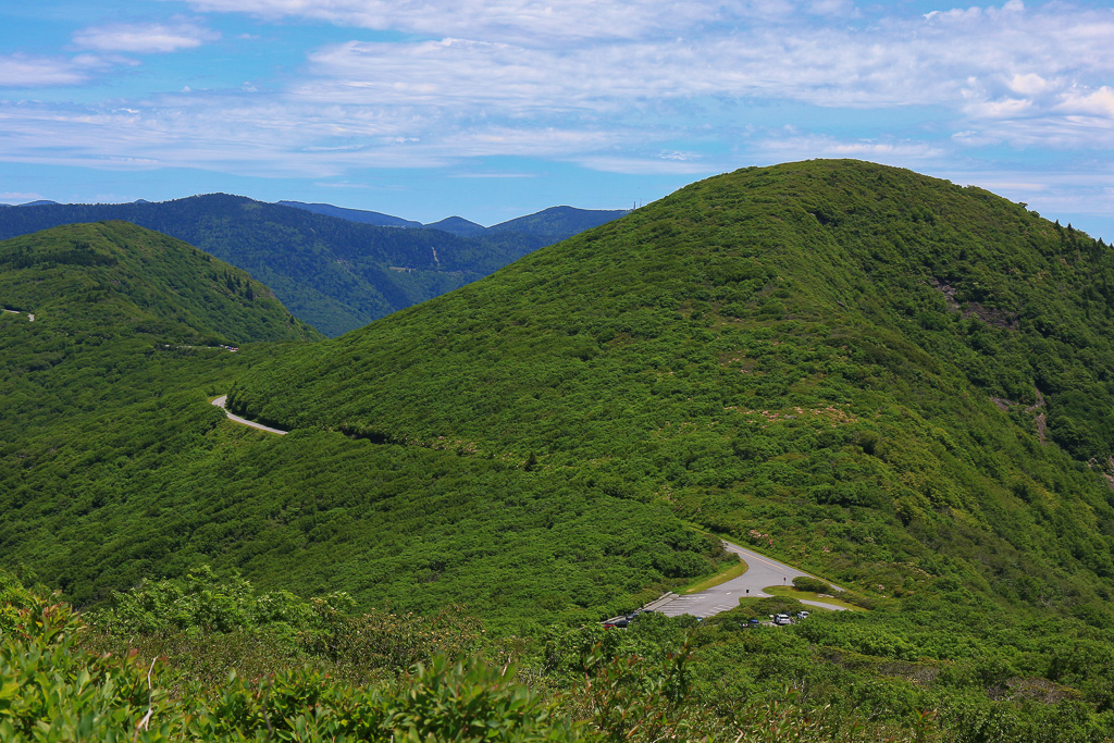 Craggy Dome and Mount Mitchell (distant pyramid peak in center) - Craggy Pinnacle