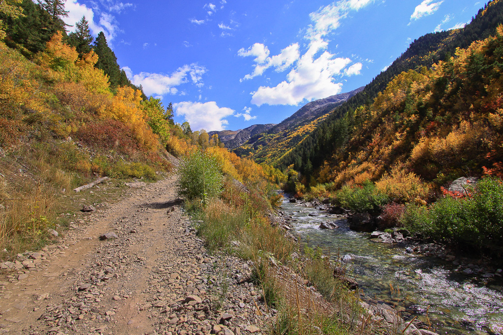 Fall color on the banks of the Crystal River - Crystal Mill 4WD Road