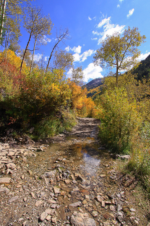 Water on the road - Crystal Mill 4WD Road