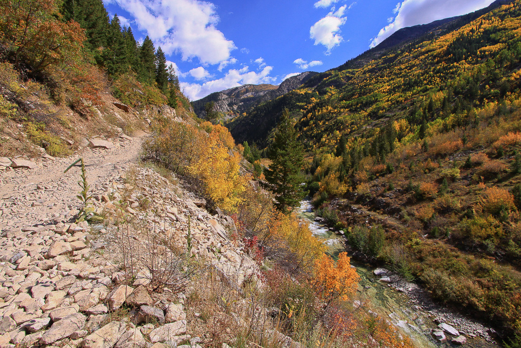 Climbing high above the river - Crystal Mill 4WD Road