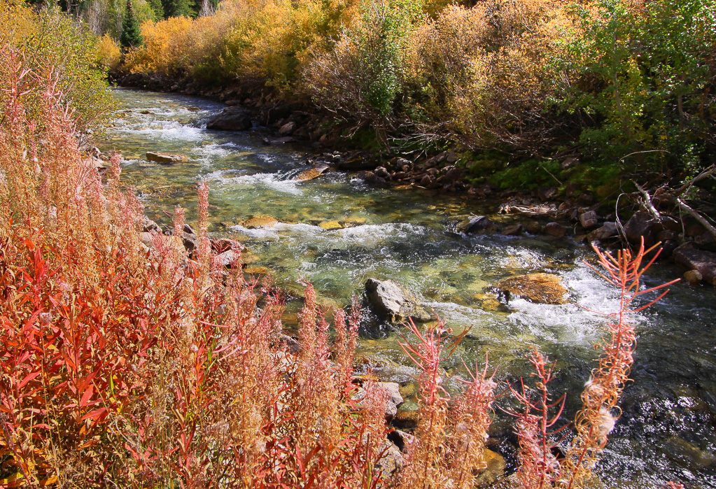 Crystal River colors - Crystal Mill 4WD Road