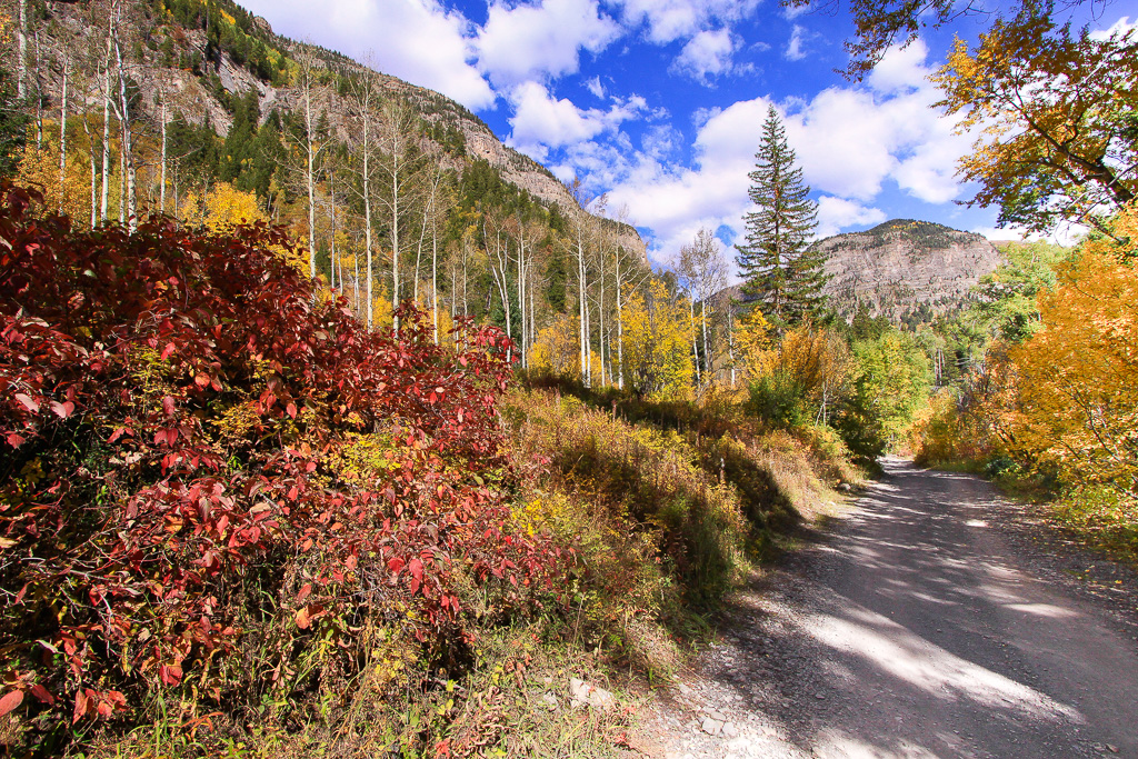 Palette of color - Crystal Mill 4WD Road