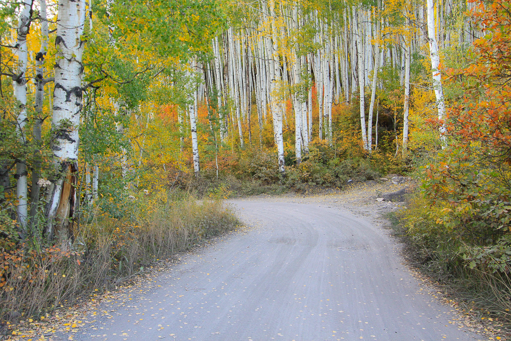 Rounding the bend to the car! - Crystal Mill 4WD Road