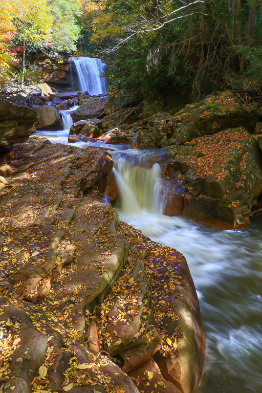 Douglas Falls and leaf stewn boulders