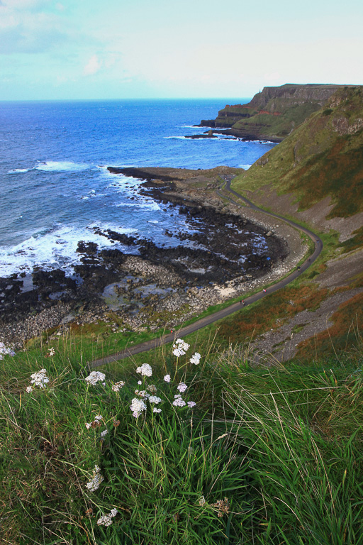 Causeway view - Giant's Causeway