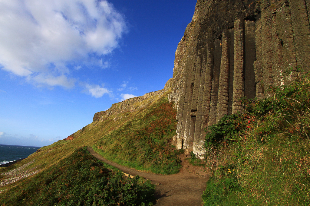 The Organ Trailside - Giant's Causeway