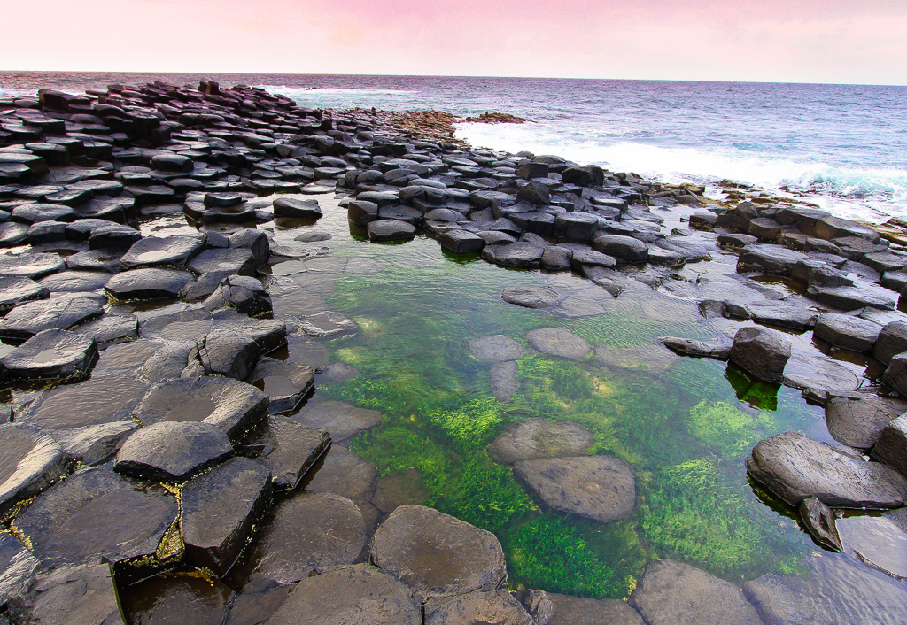 Tide Pool on Grand Causeway - Giant's Causeway