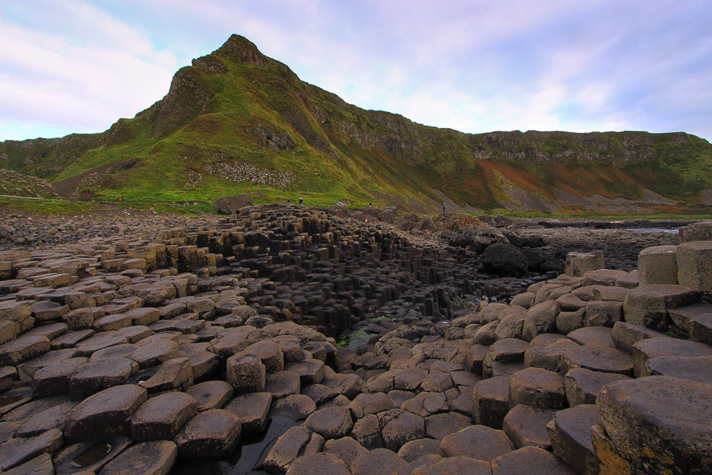 Causeway vista - Giant's Causeway