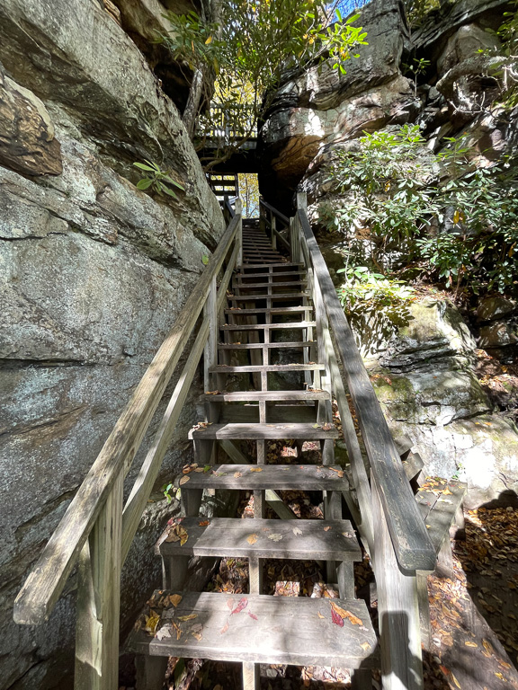 Turkey Spur Steps - Grandview Rim Trail