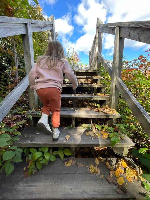 Beebs climbing the 150 steps to Turkey Spur - Grandview Rim Trail