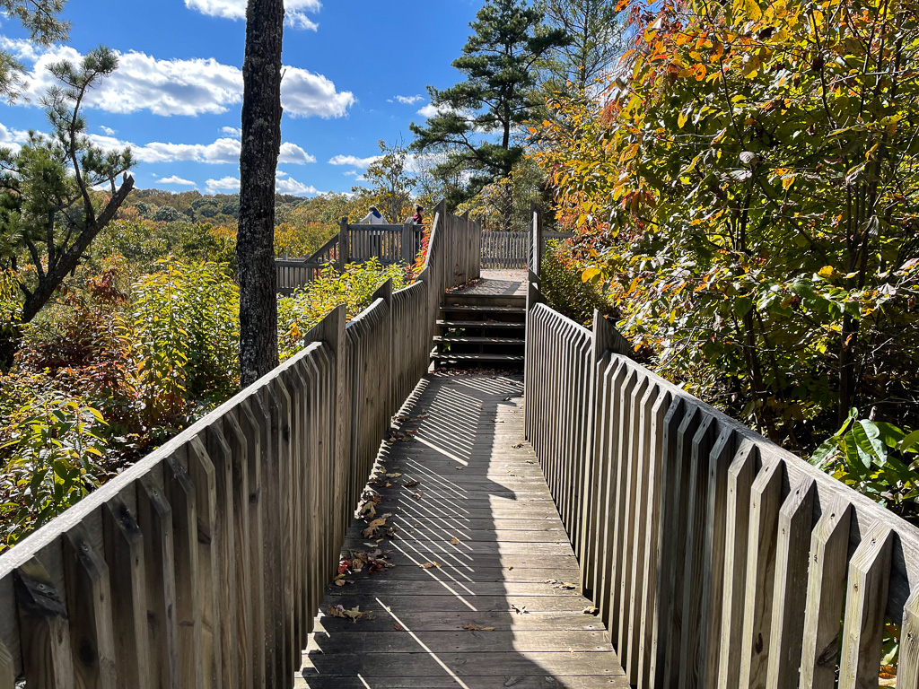 Boardwalk - Grandview Rim Trail