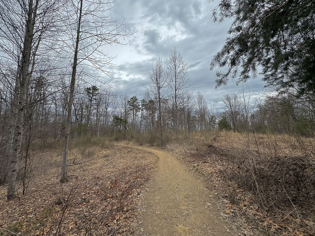 March clouds - Gray's Arch Loop