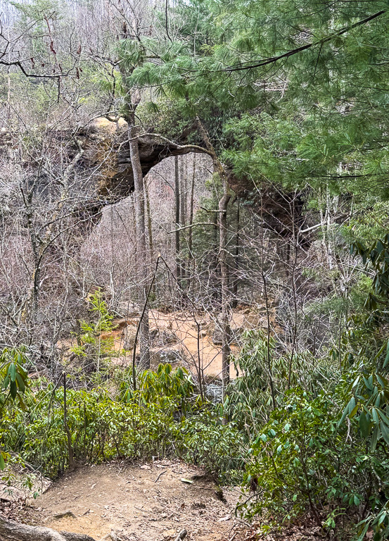 Gray's Arch through the trees along Gray's Arch Trail #205 - Gray's Arch Loop