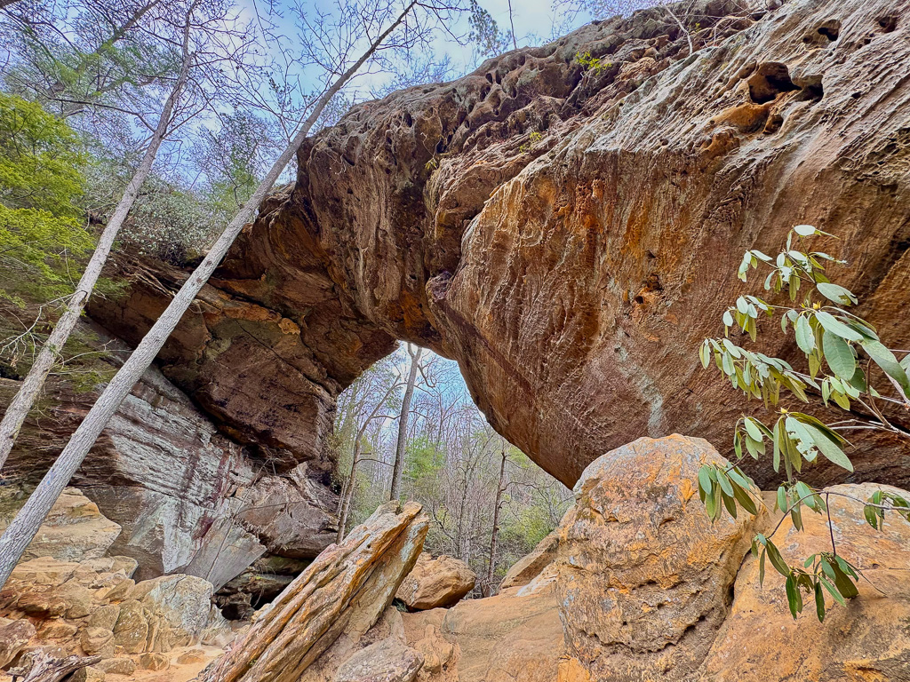 Grays Arch, one of the largest arches in the Red River Gorge at 50-feet high and 80-feet long - Gray's Arch Loop