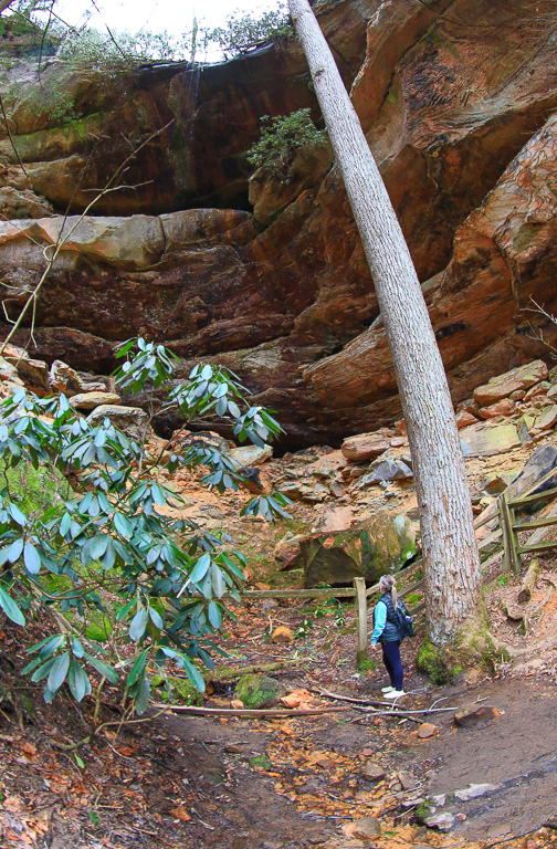 Sookie Gray's Arch Trail #205 - Gray's Arch Loop