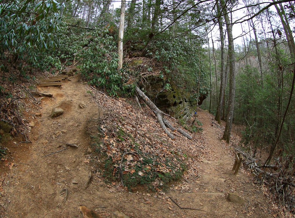 After leaving the arch, return to the junction.  A left will take you back the way you came and a right leads you into the scenic forest along the Rough Trail - Gray's Arch Loop