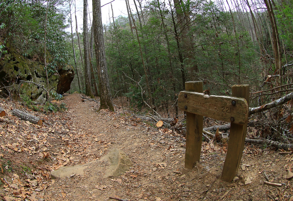 Rough Trail #221 - Gray's Arch Loop