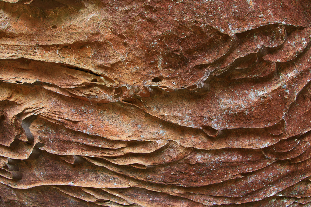Beautiful honeycomb sandstone on the Rough Trail #221 - Gray's Arch Loop