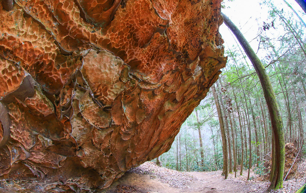 Beautiful honeycomb sandstone on the Rough Trail #221 - Gray's Arch Loop