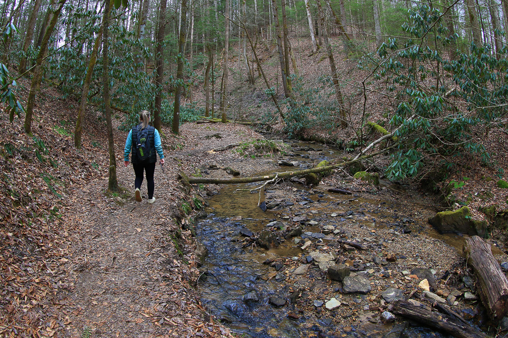 Sook hiking beside King Branch on the Rough Trail #221 - Gray's Arch Loop