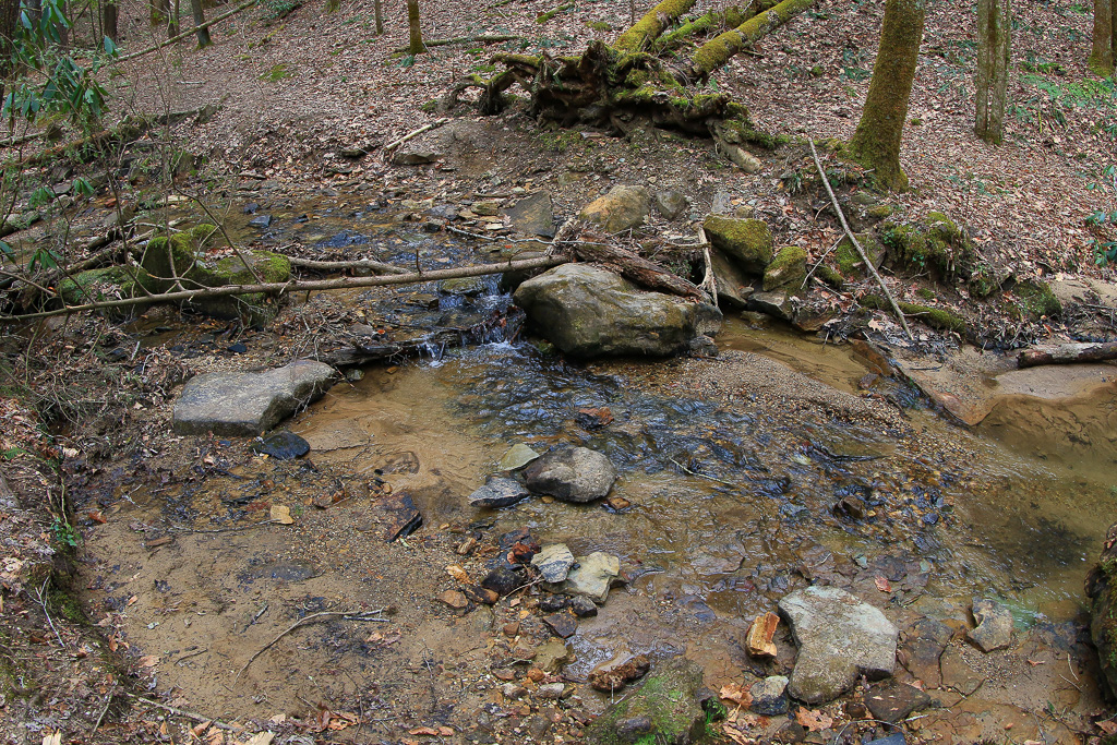 King Branch on the Rough Trail #221 - Gray's Arch Loop