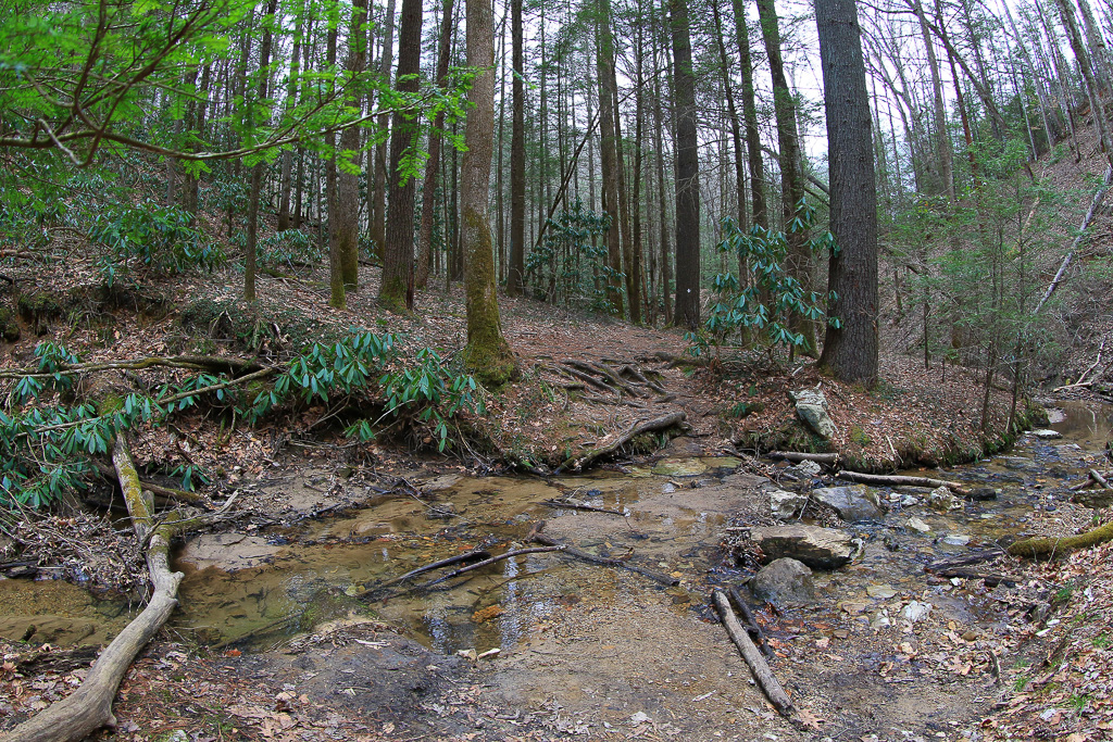 King Branch on the Rough Trail #221 - Gray's Arch Loop